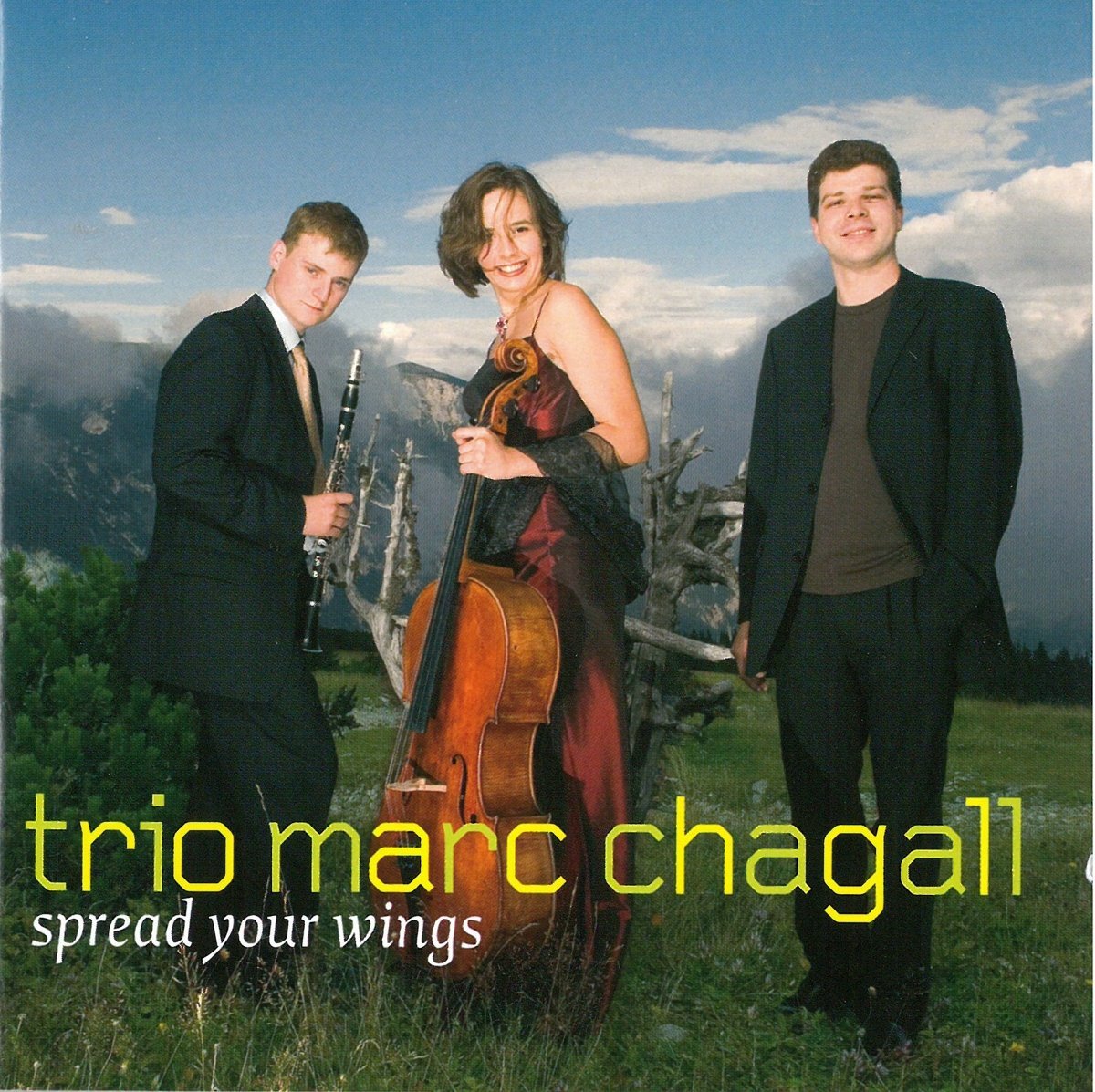 VARIOUS ARTISTS Spread Your Wings (CD)
