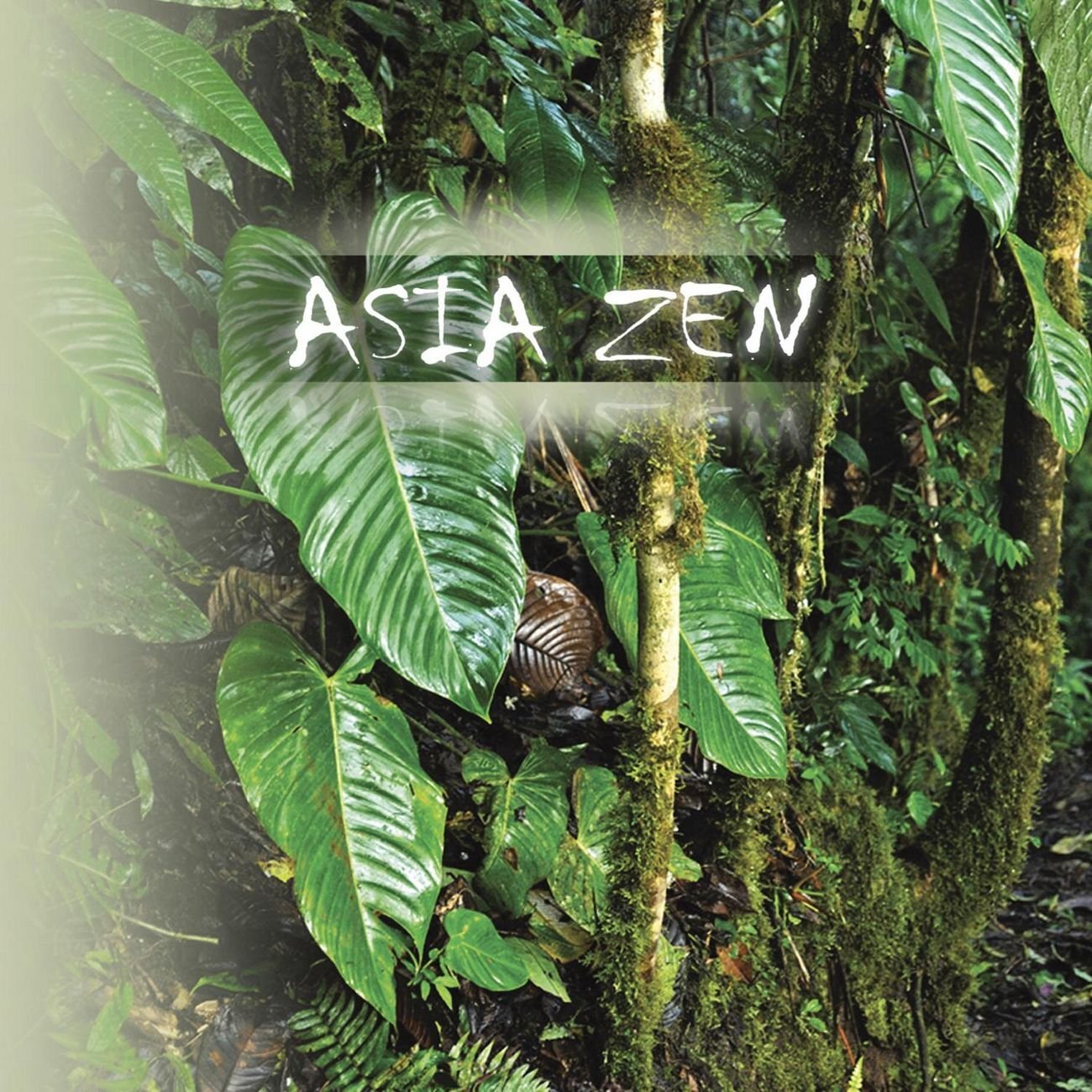 Natobi & Wa kan Asian Zen (CD)