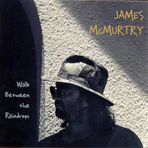 James McMurtry Walk Between The Raindrops (CD) Album