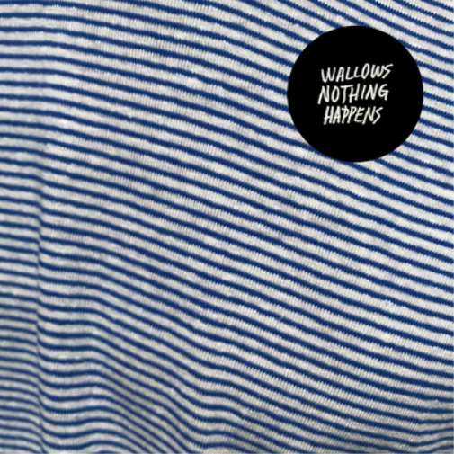 Wallows Nothing Happens (Vinyl LP) 12" Album