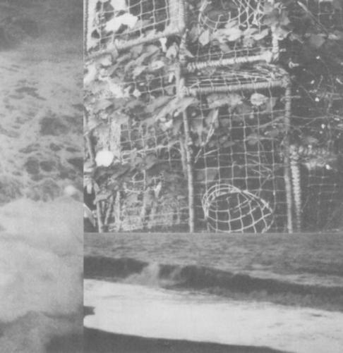 Cremation Lily The Processes and Instruments of Normal People (Vinyl LP)