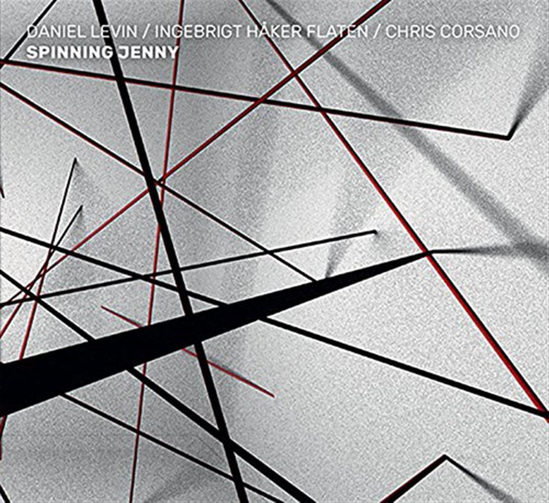 Spinning Jenny - Levin (Audio cd)