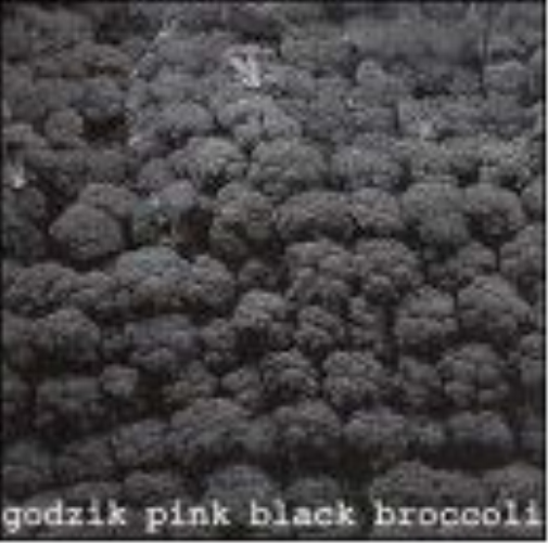 Black Broccoli (CD) Album