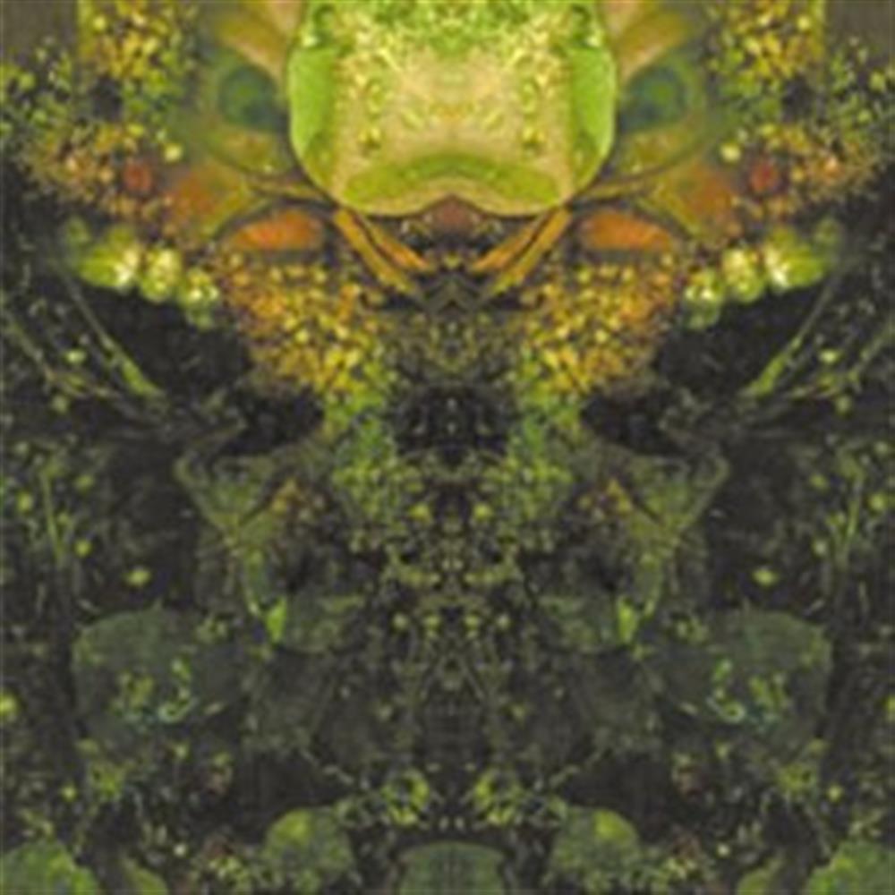 Edward S Lament - House Of Low Culture (Audio CD)