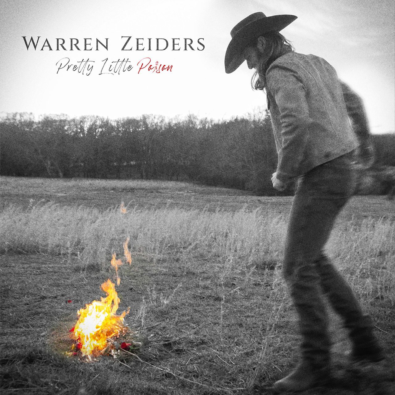 7024786 Audio Cd Warren Zeiders - Pretty Little Poison