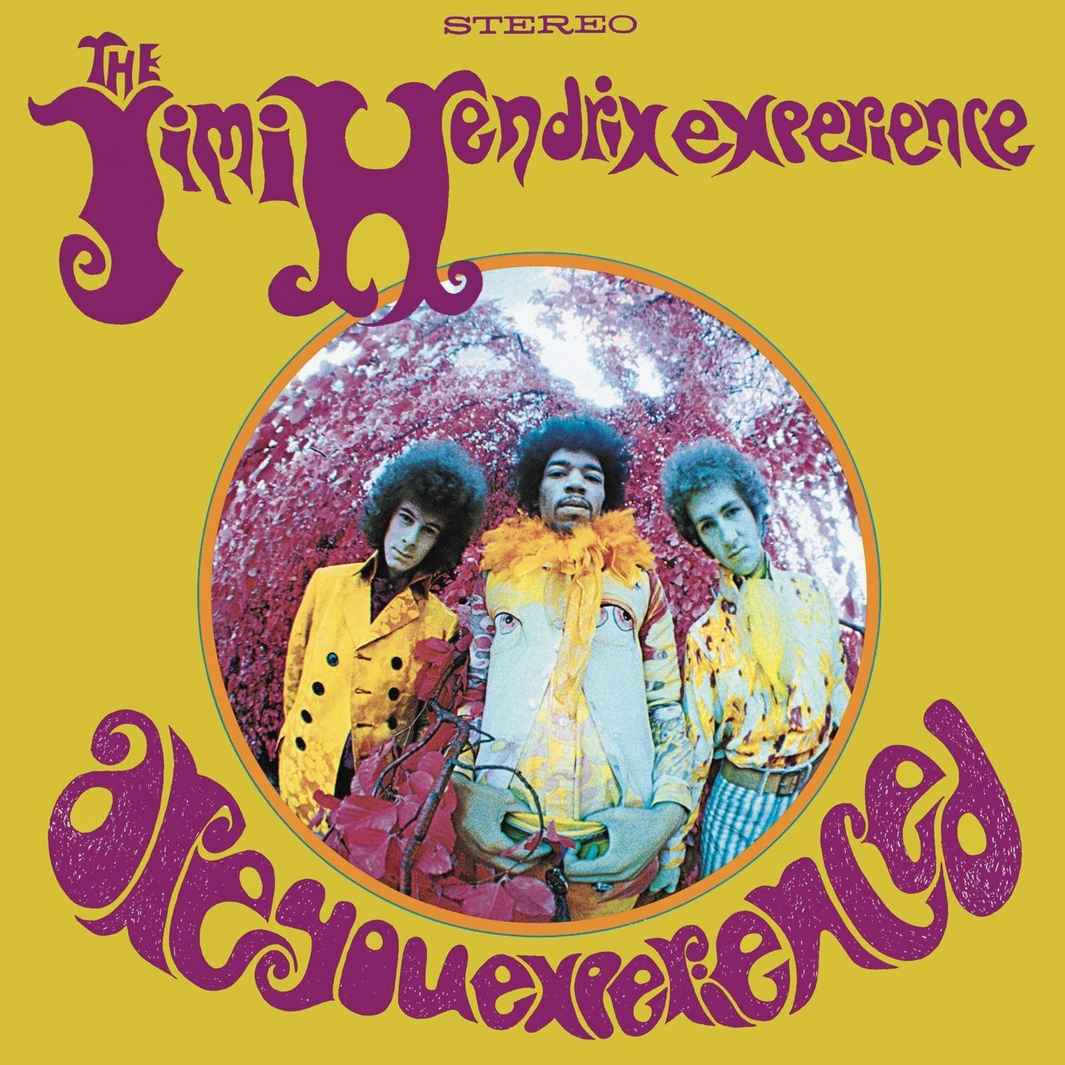 Vinile Jimi Hendrix Experience (The) - Are You Experienced?