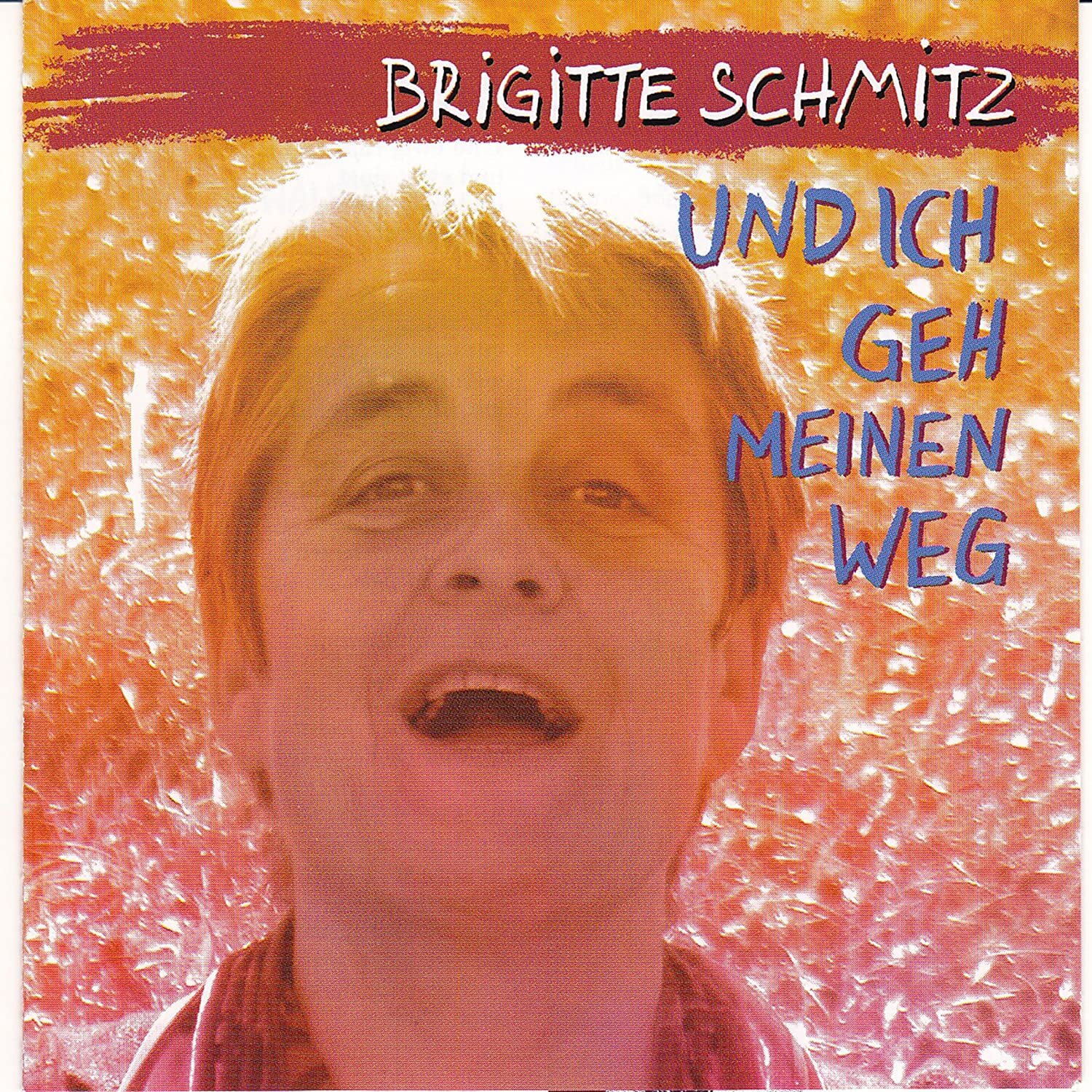 7024788 Audio Cd Brigitte Schmitz - Und Ich Gehe Meinen Weg