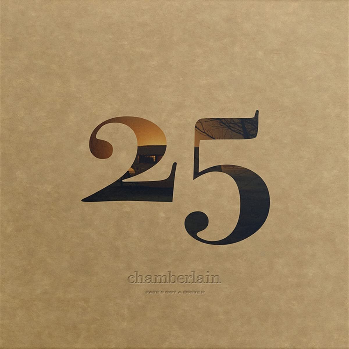 Chamberlain Fate'S Got a Driver (Vinyl LP)