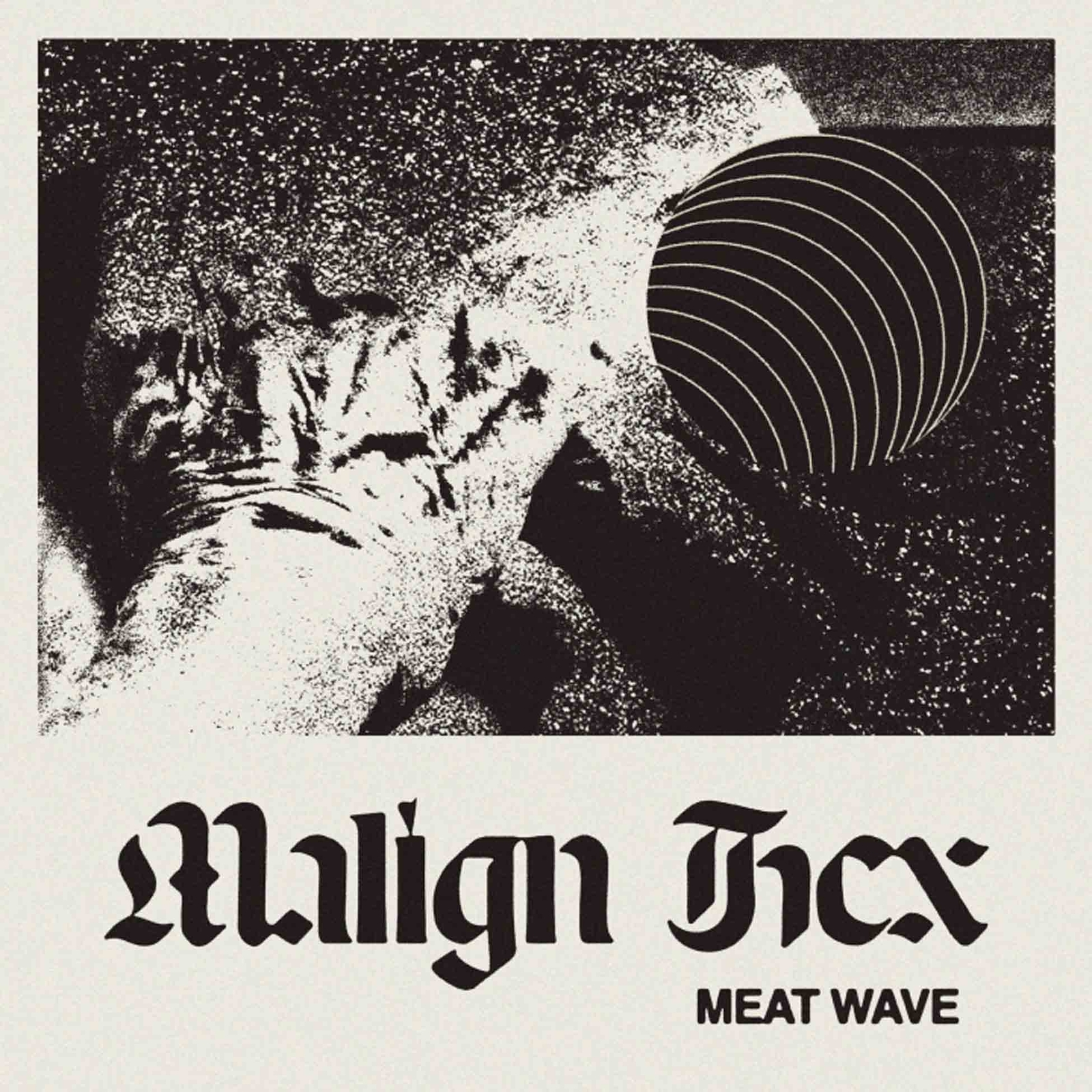 Meat Wave Malign Hex (Vinyl LP)