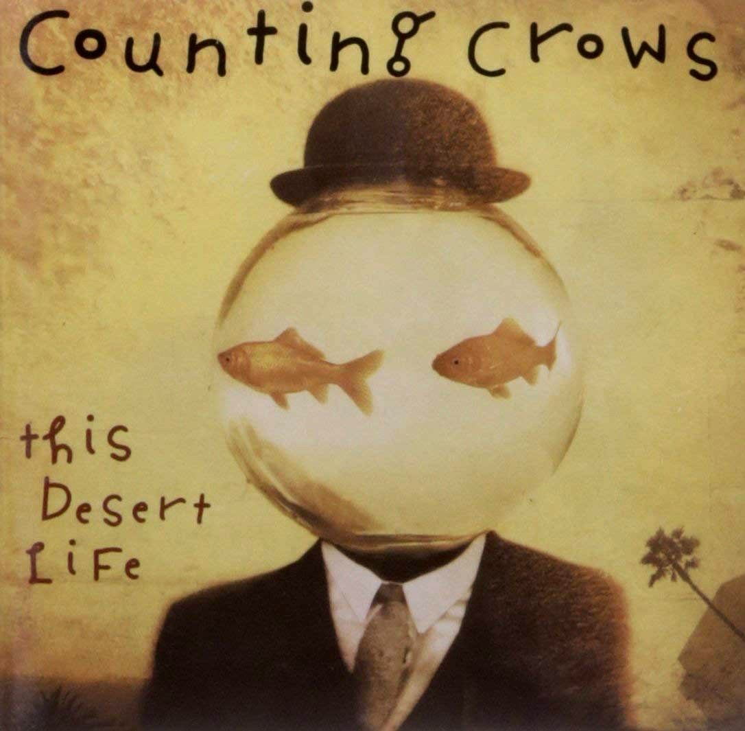 Counting Crows ‎– This Desert Life (CD, Album)