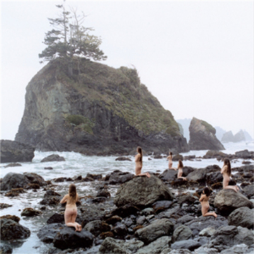 Principles of Geometry Burn the Land and Boil the Oceans (CD) Album