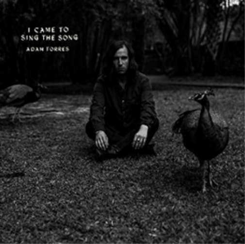 Adam Torres I Came to Sing the Song (Vinyl LP) 7" Single