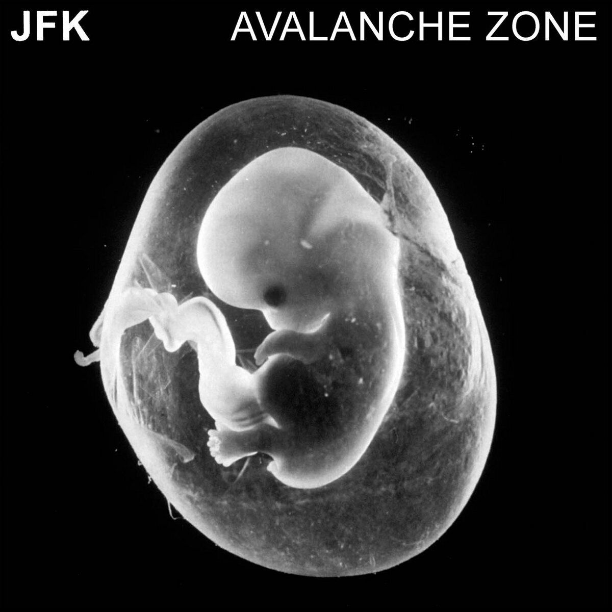 JFK Avalanche Zone (CD) Album