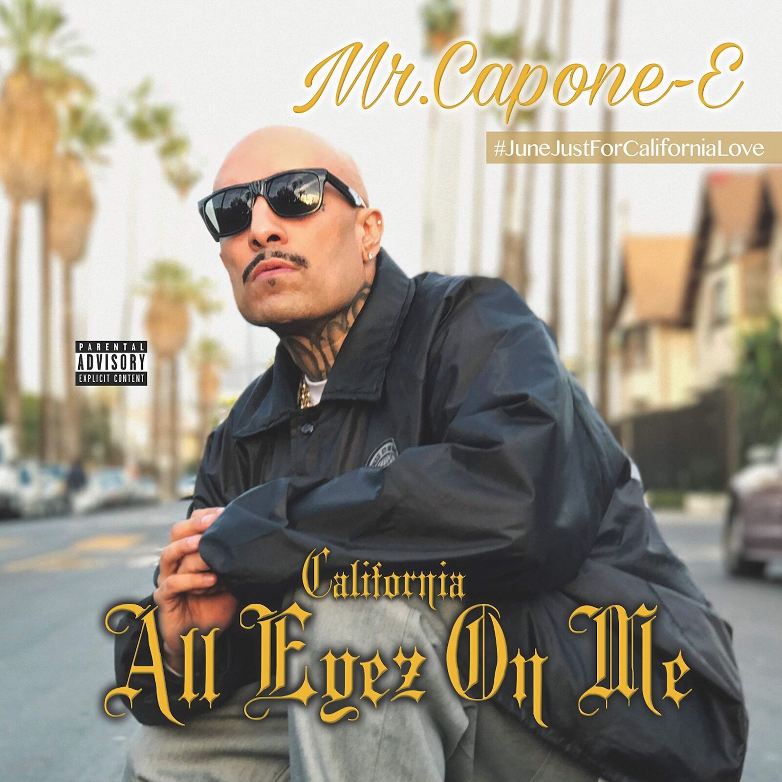 Mr Capone E, Mr Youngster, Mr Criminal , Snapper, Wic California Love: All  (CD)