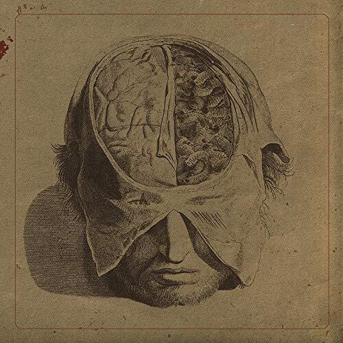 Farsot Insects - Ltd.Gatefold (Vinyl LP)