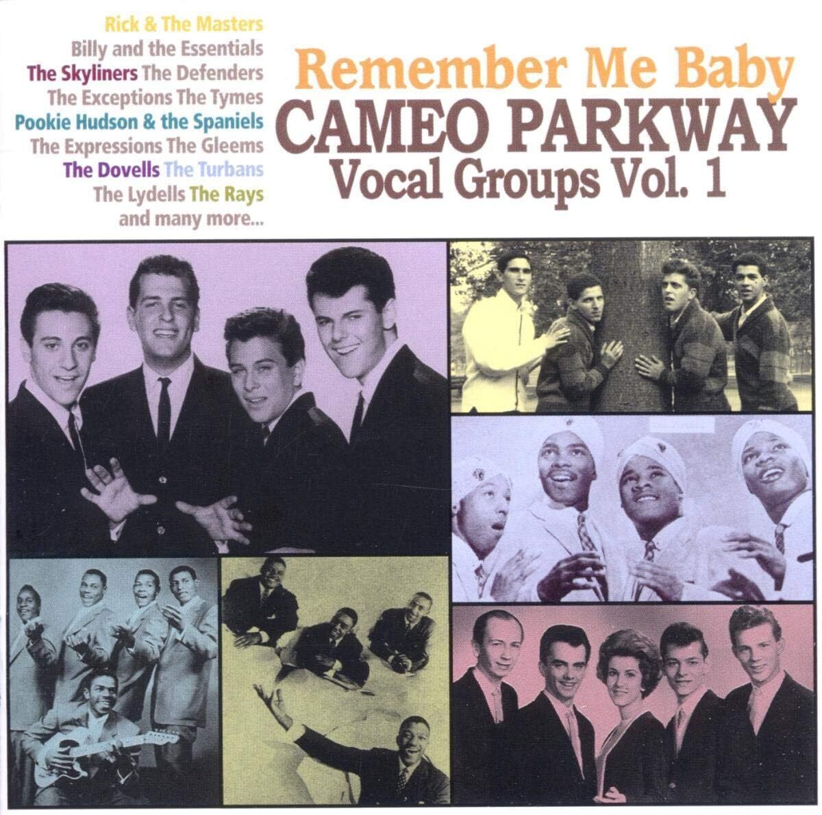 Various Artists Remember Me Baby: Cameo Parkway Vocal Groups - Volume 1 (CD)