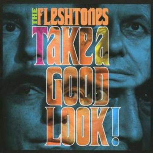 The Fleshtones Take a Good Look (CD) Album
