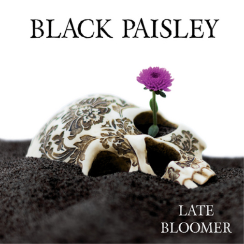 Black Paisley Late Bloomer (Vinyl LP) 12" Album