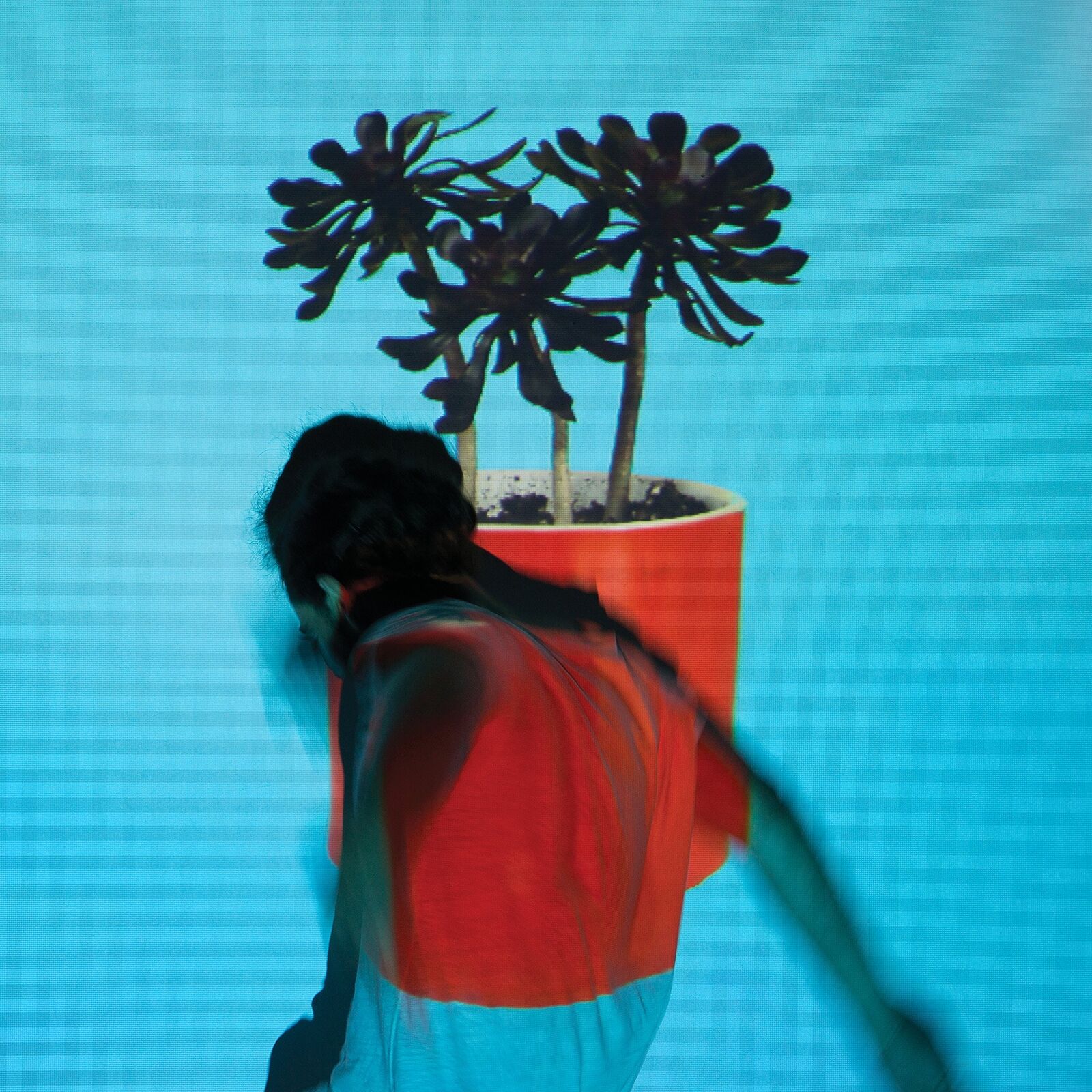 Local Natives Sunlit Youth (Vinyl LP)