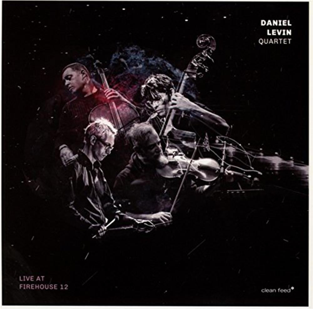 Live At Firehouse 12 - Daniel Levin (Audio cd)