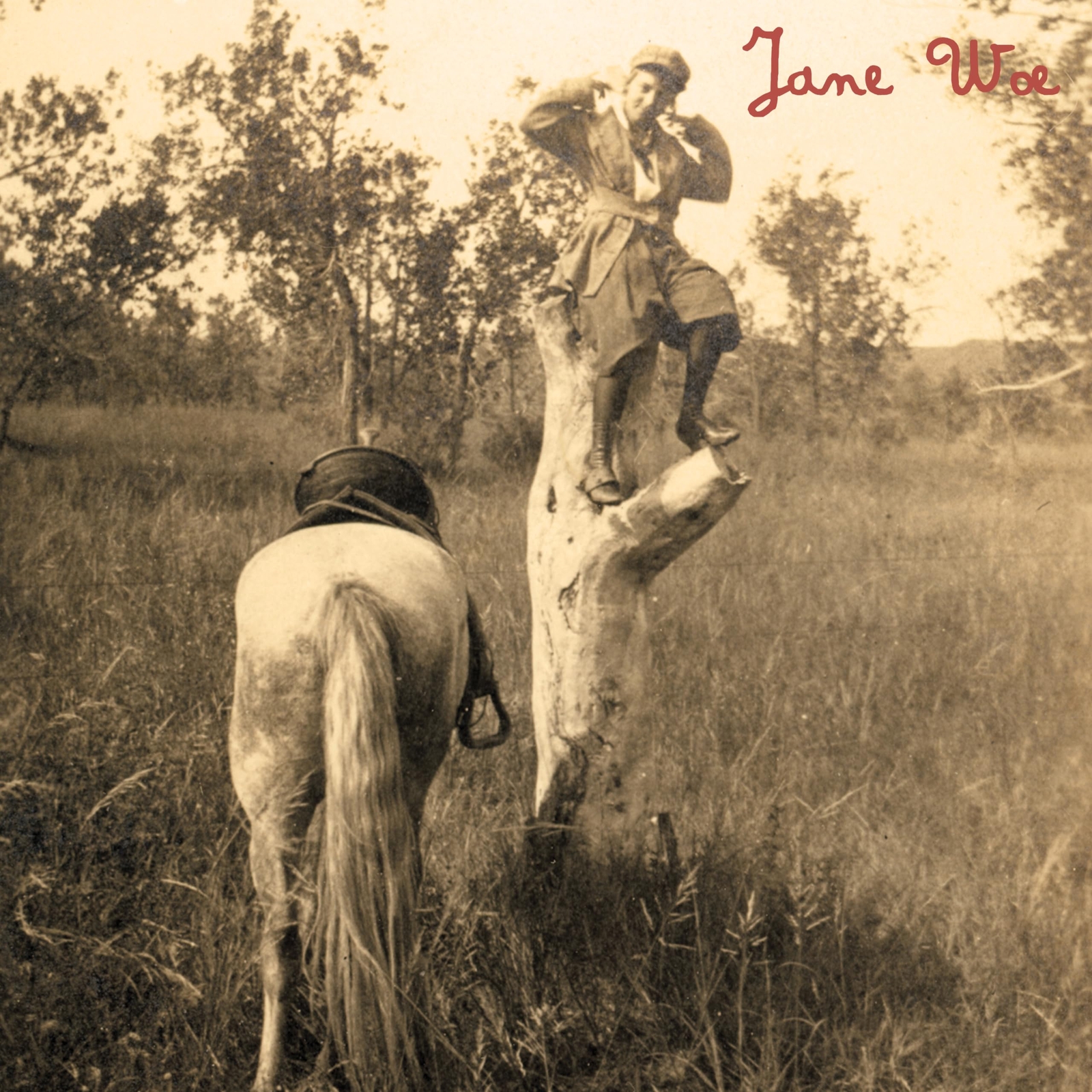 Jane Woe Jane Woe (Vinyl LP)