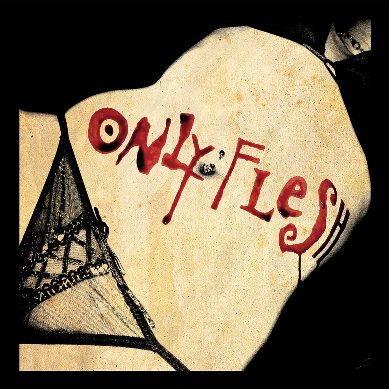 Only Flesh From The Gutter To The Grave (CD)