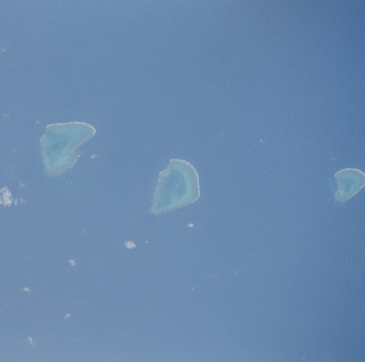 Celer Coral Sea (CD)