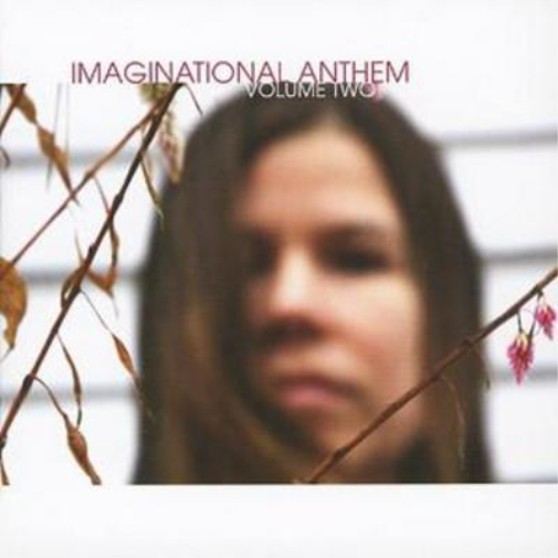 Various Artists Imaginational Anthem - Volume 2 (CD) Album