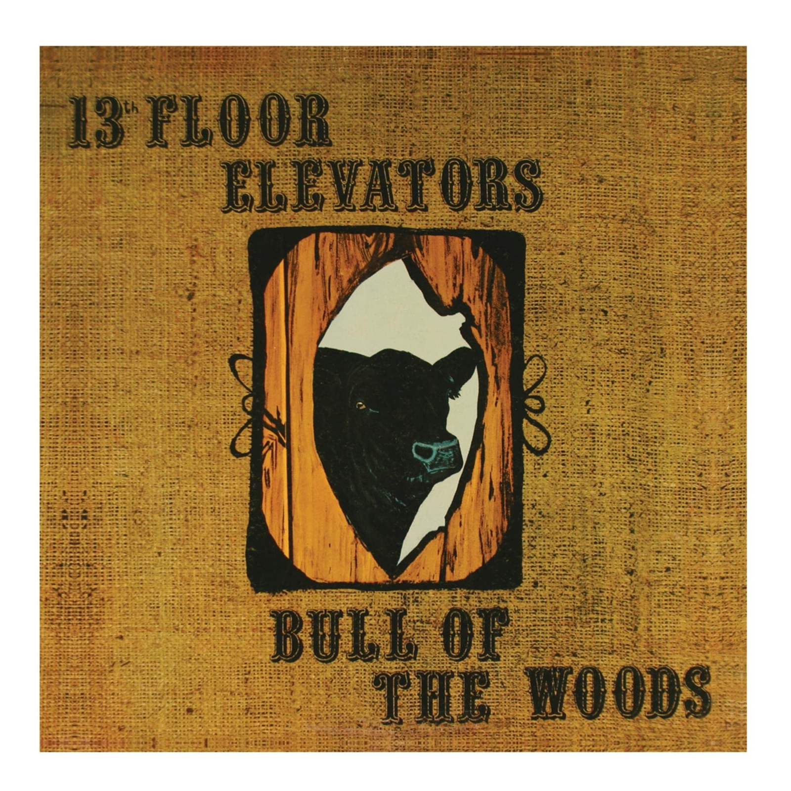 The 13th Floor Elevators Bull Of The Woods (CD)