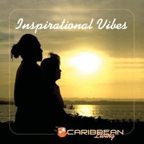 Various Artists Inspirational Vibes (CD)