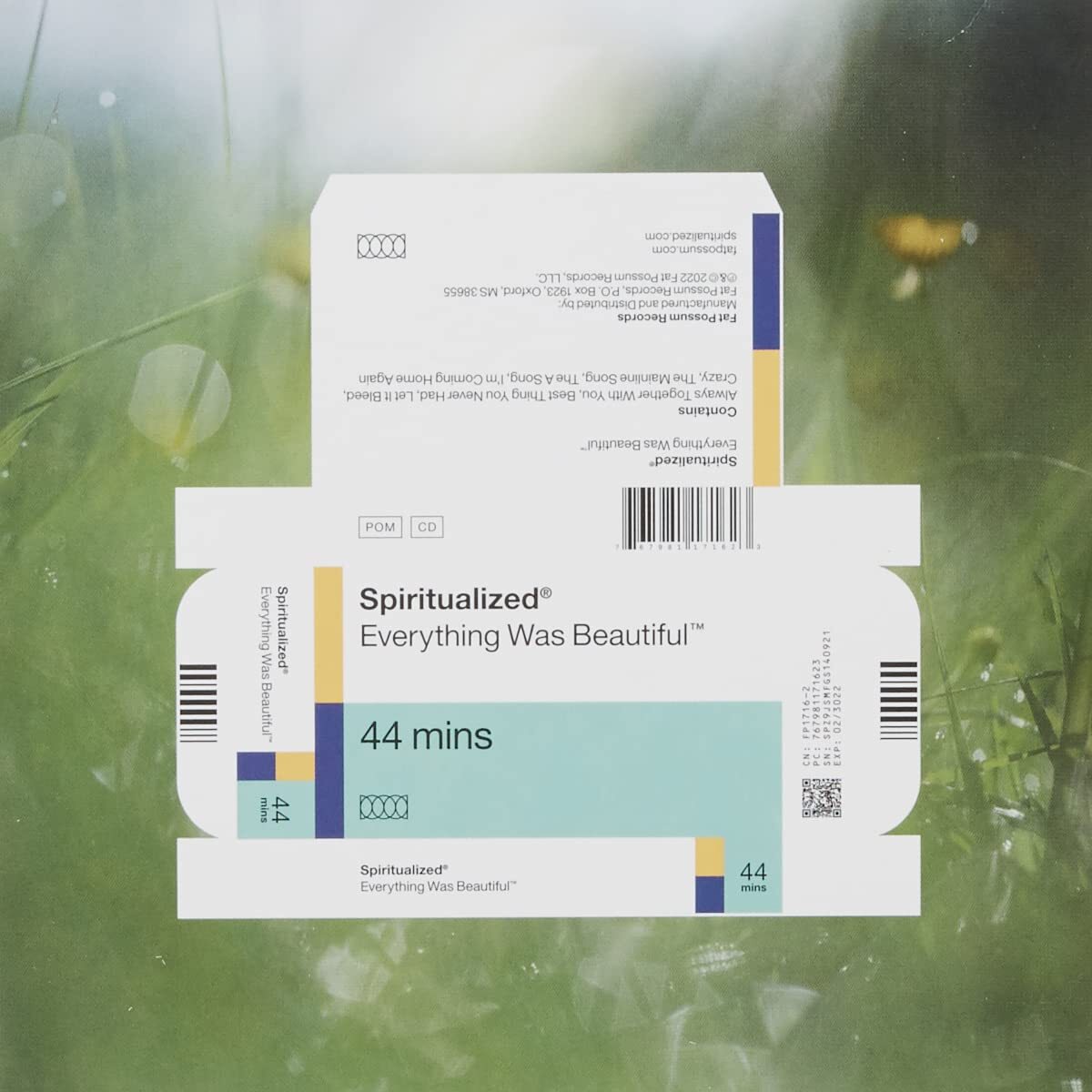 Spiritualized Everything Was Beautiful (CD)