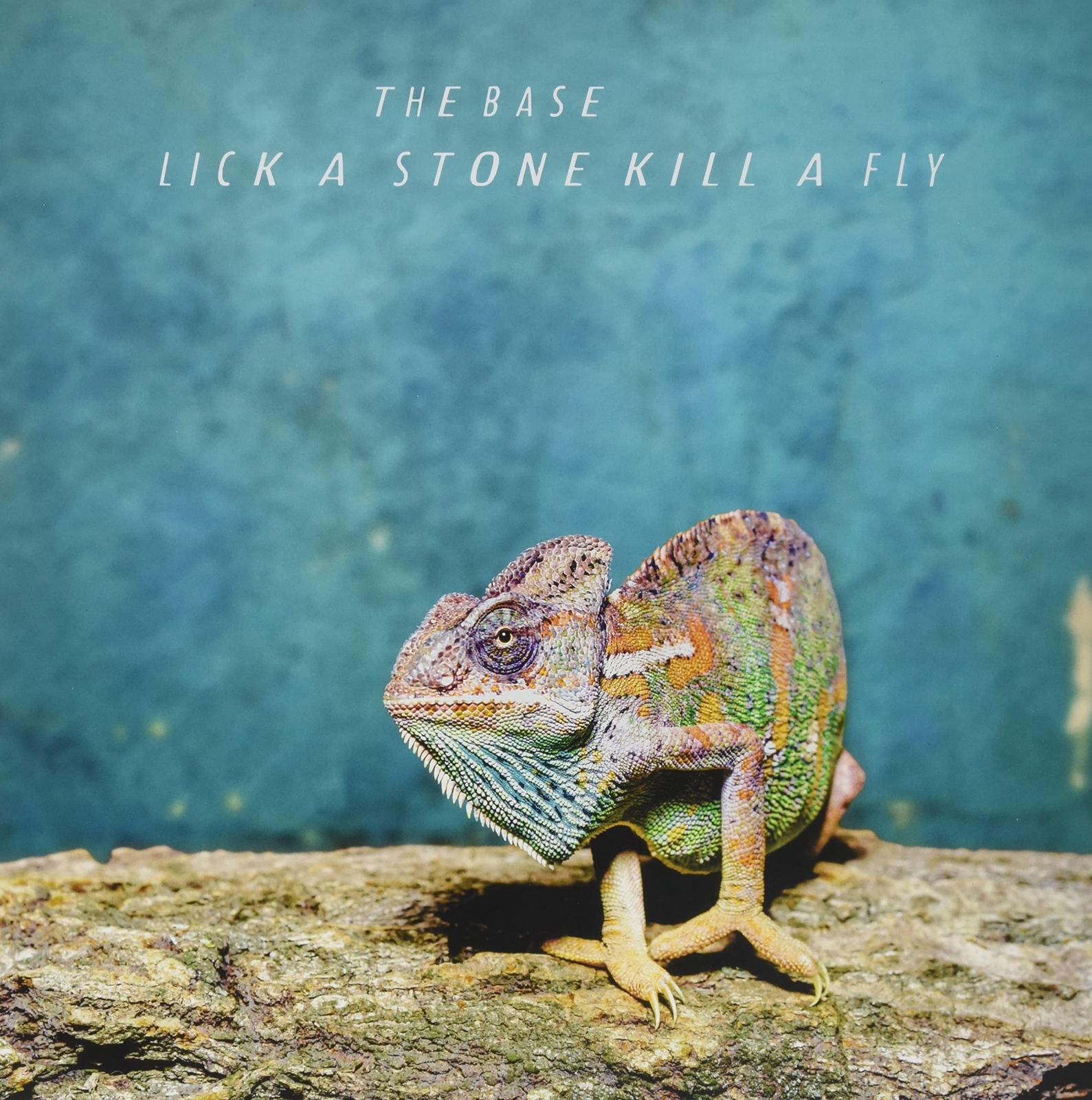 Base,the Lick a Stone Kill a Fly (Vinyl LP)