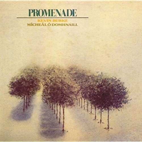 Kevin Burke and Micheal O'Domhnaill Promenade (CD) Album