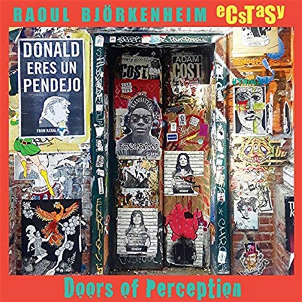 Doors Of Perception - Schnellertollermeier (Audio cd)
