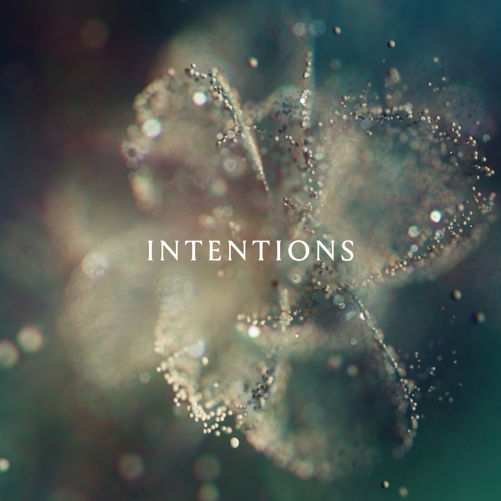 ANNA Intentions (Vinyl LP) 12" Album