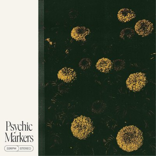 Psychic Markers Psychic Markers (Vinyl LP) 12" Album