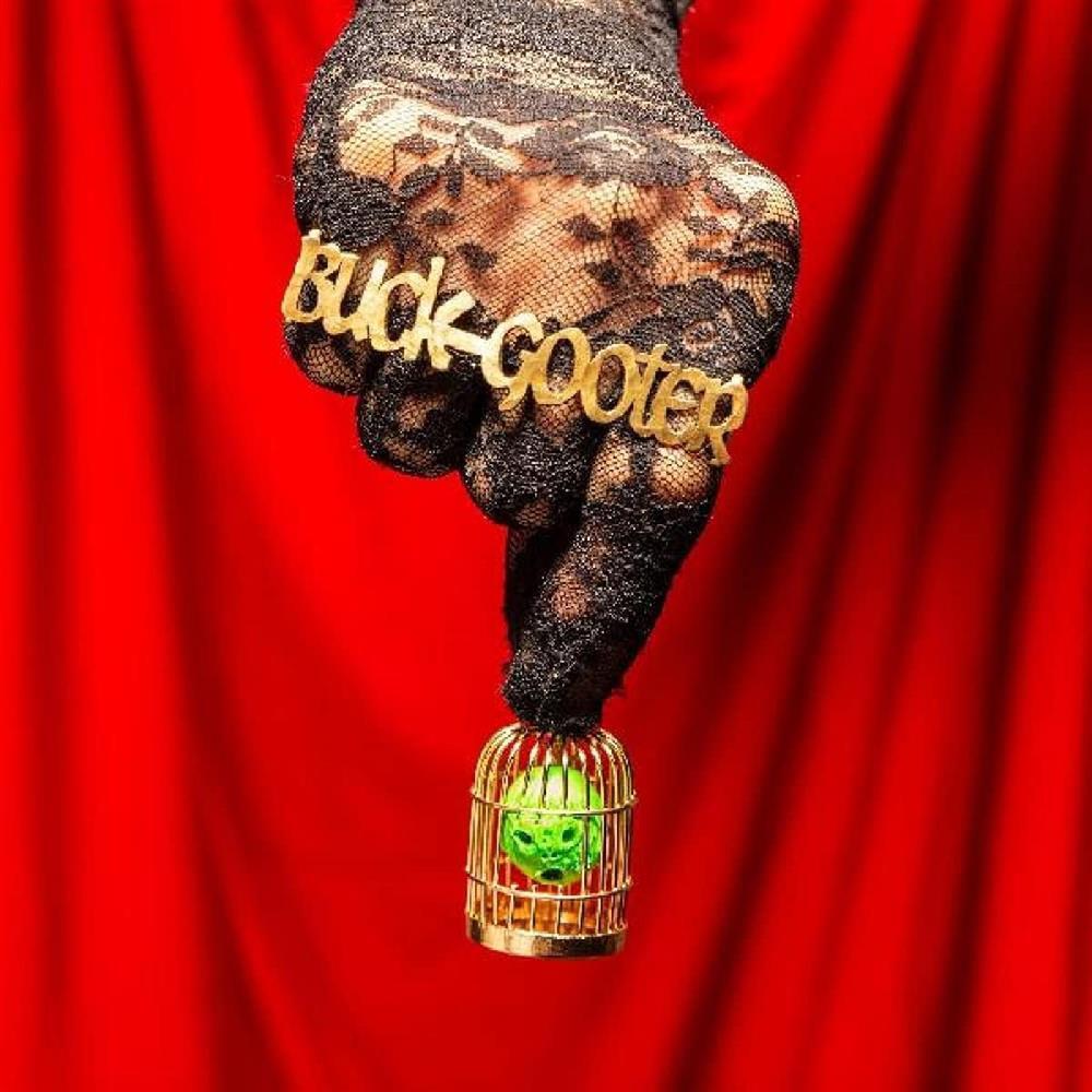 Head In A Bird Cage - Buck Gooter (Vinile)