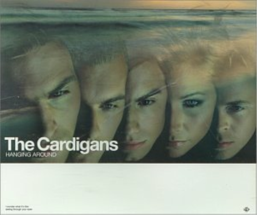 Cardigans Hanging Around (CD)