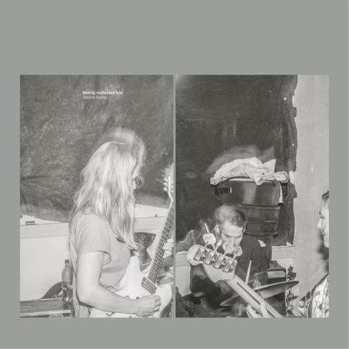 Hedvig Mollestad Trio Smells Funny (Vinyl LP) 12" Album