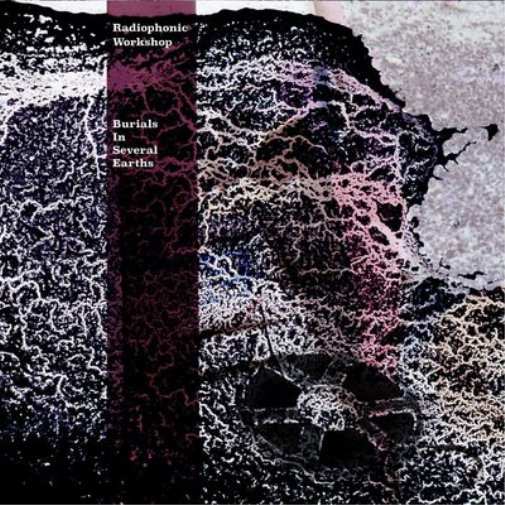 The Radiophonic Workshop Burials in Several Earths (CD) Album
