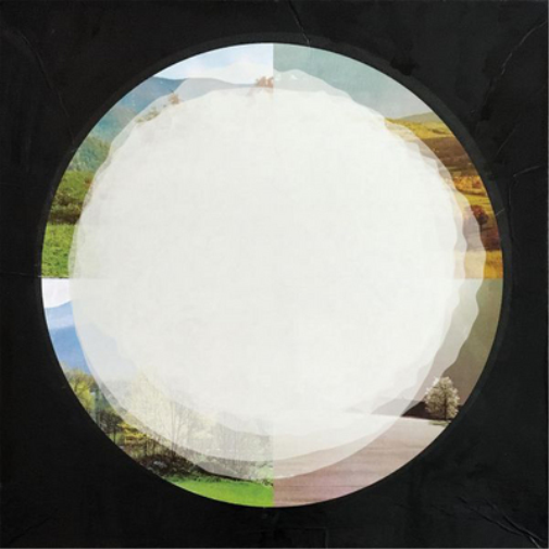 Oneida & Rhys Chatham What's Your Sign? (Vinyl LP) 12" Album