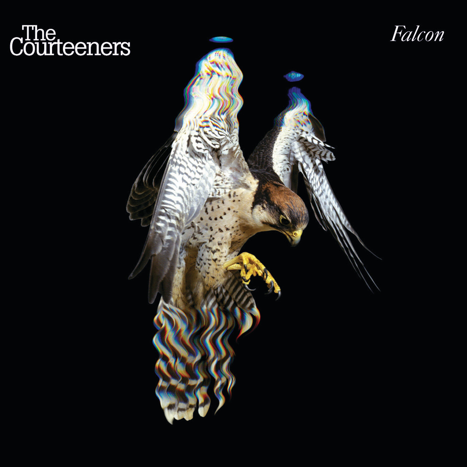 The Courteeners Falcon (CD) Album