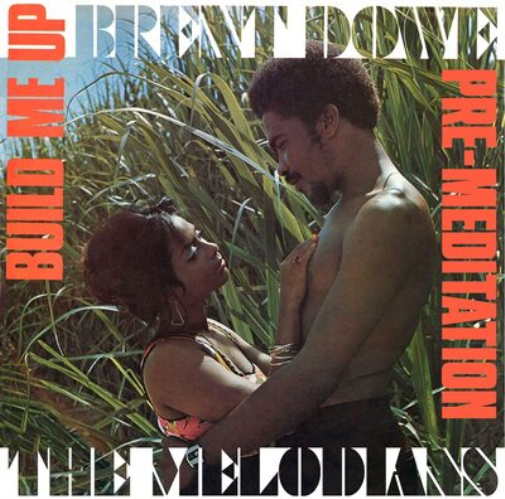 Brent Dowe and The Melodians Build Me Up/Pre-meditation (CD) Album