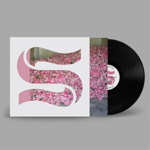Braxe + Falcon Step By Step (Vinyl LP) 12" EP