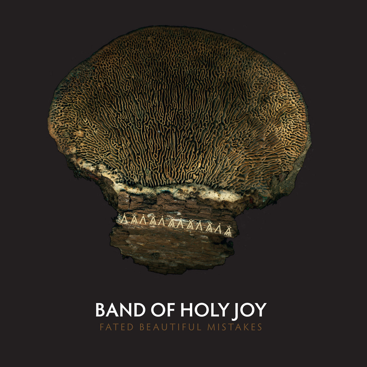 Band of Holy Joy Fated Beautiful Mistakes (Vinyl LP) 12" Album