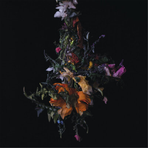 Big Brave Nature Morte (Vinyl LP) 12" Album Coloured Vinyl (Limited Edition)