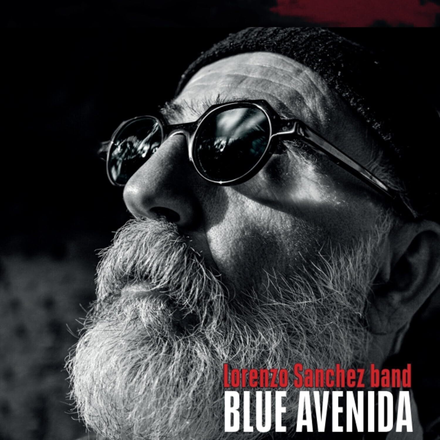 Lorenzo Sanchez Band Blue Avenida (CD) Album