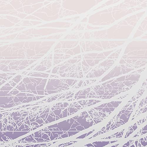Lea Bertucci Metal Aether / Resonant Field (Vinyl LP)