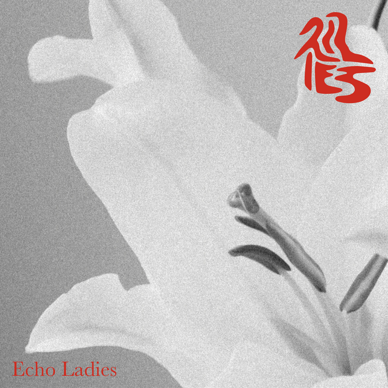 Echo Ladies Lilies (CD) Album