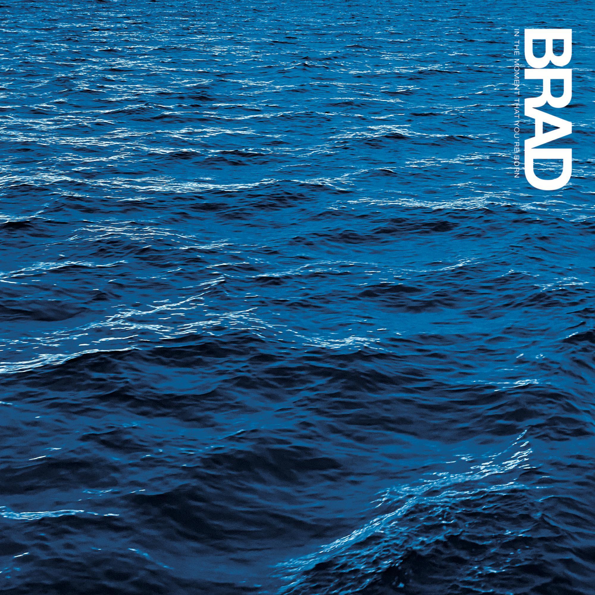 Brad In the Moment That You're Born (Vinyl LP)